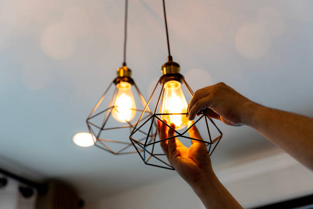Best Electrician for Home Renovation  in Sidney, IL