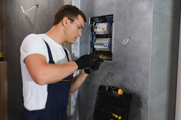 Best Residential Electrician Services  in Sidney, IL