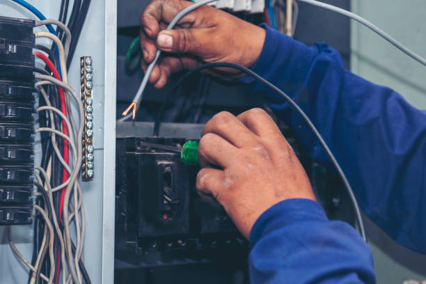 Best Licensed Electrician  in Sidney, IL